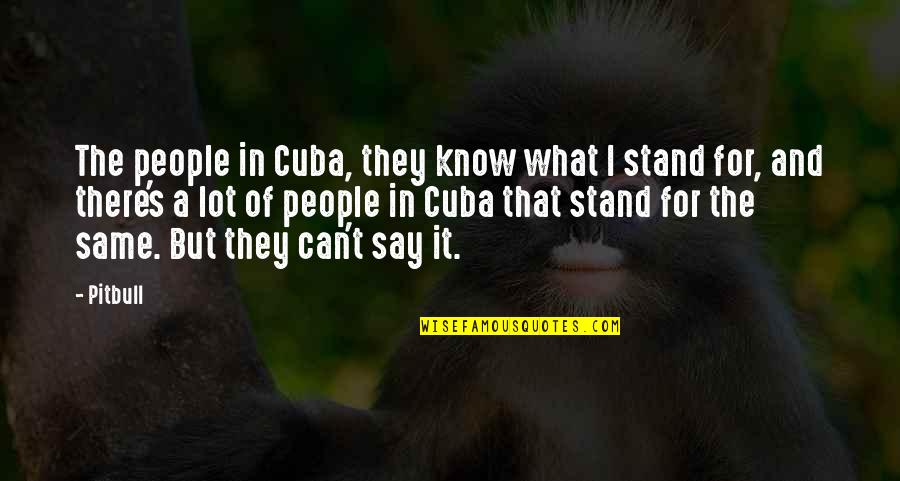 Cuba Quotes By Pitbull: The people in Cuba, they know what I