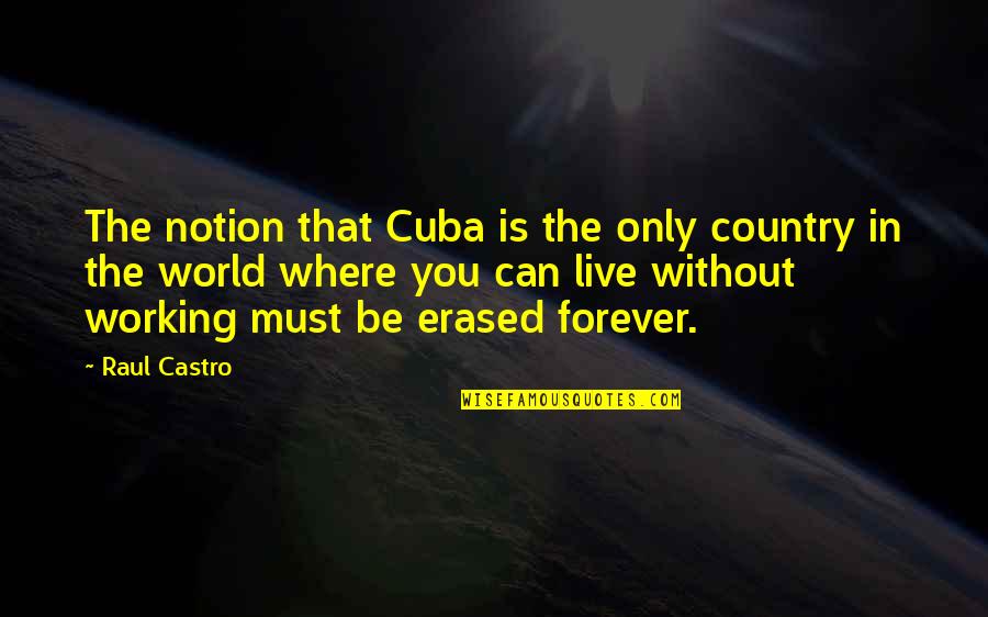 Cuba Quotes By Raul Castro: The notion that Cuba is the only country