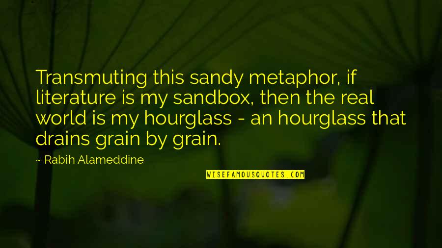 Cubbage Collision Quotes By Rabih Alameddine: Transmuting this sandy metaphor, if literature is my