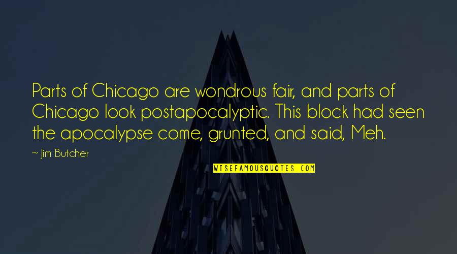 Cubietime Quotes By Jim Butcher: Parts of Chicago are wondrous fair, and parts