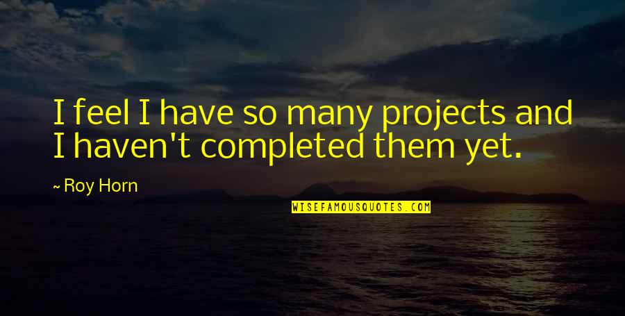 Cubrir Past Quotes By Roy Horn: I feel I have so many projects and
