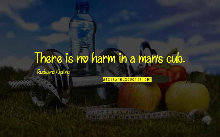 Cubs Quotes By Rudyard Kipling: There is no harm in a man's cub.