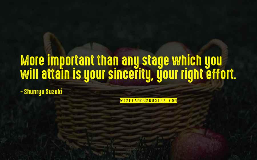 Cudalingus Quotes By Shunryu Suzuki: More important than any stage which you will Cudalingus Quotes By Shunryu Suzuki: More important than any stage which you will