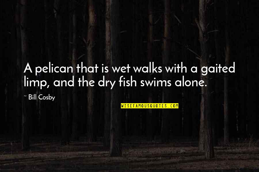 Cuddles And Kisses Quotes By Bill Cosby: A pelican that is wet walks with a