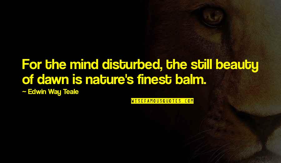 Cuddles Quotes By Edwin Way Teale: For the mind disturbed, the still beauty of