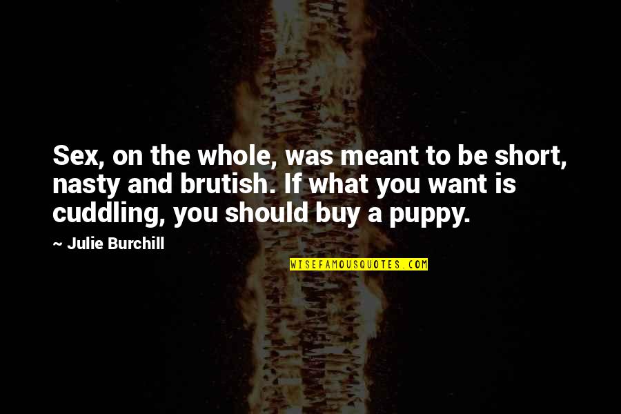Cuddling Up Quotes By Julie Burchill: Sex, on the whole, was meant to be