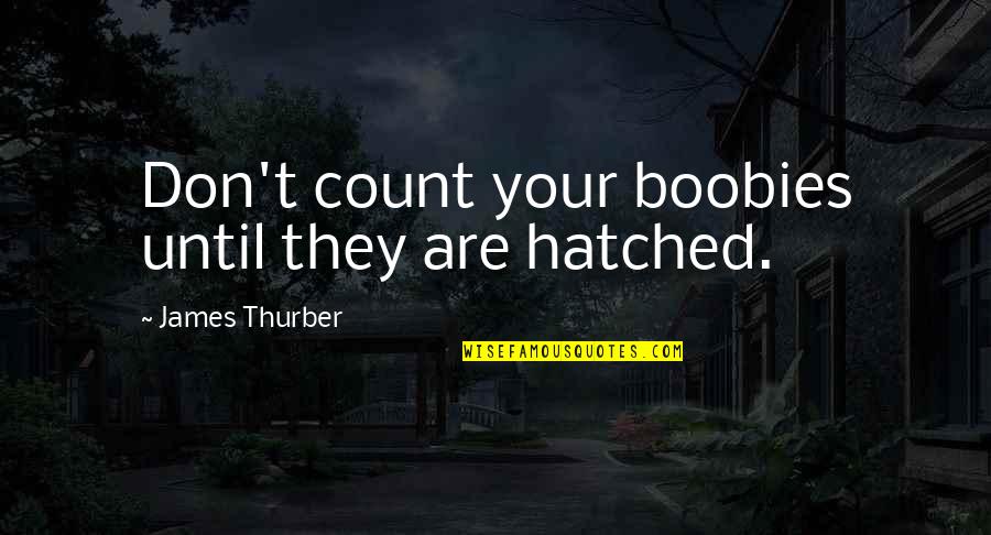 Cudely Quotes By James Thurber: Don't count your boobies until they are hatched. Cudely Quotes By James Thurber: Don't count your boobies until they are hatched.