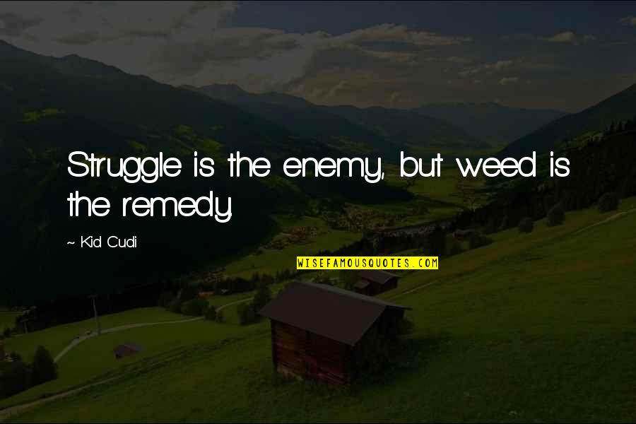 Cudi Quotes By Kid Cudi: Struggle is the enemy, but weed is the
