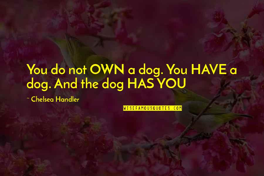 Cudos Augusta Quotes By Chelsea Handler: You do not OWN a dog. You HAVE