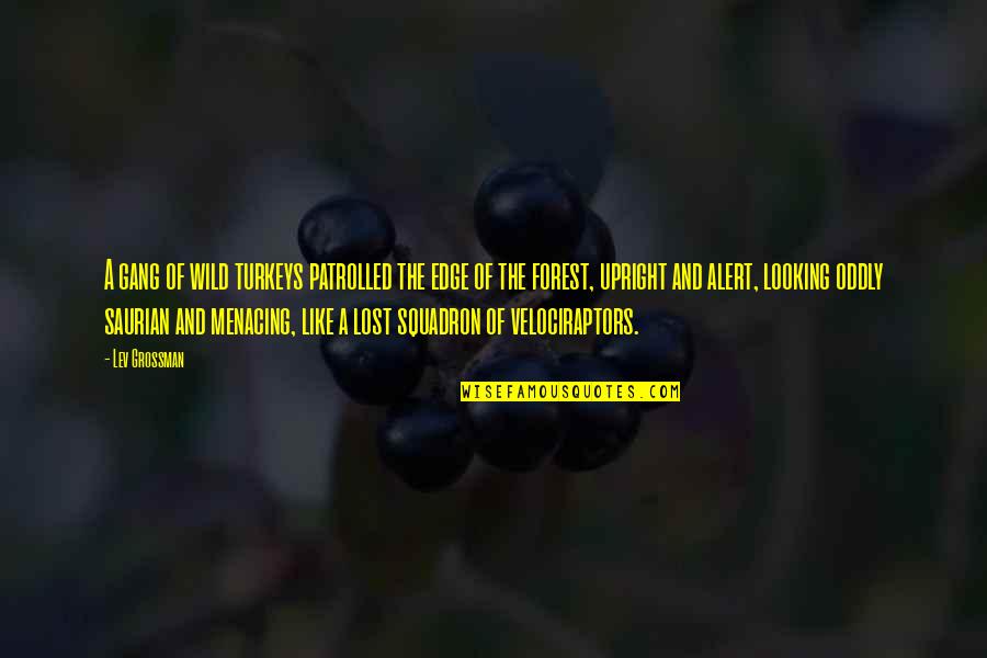 Cudzoziemiec Filmweb Quotes By Lev Grossman: A gang of wild turkeys patrolled the edge Cudzoziemiec Filmweb Quotes By Lev Grossman: A gang of wild turkeys patrolled the edge