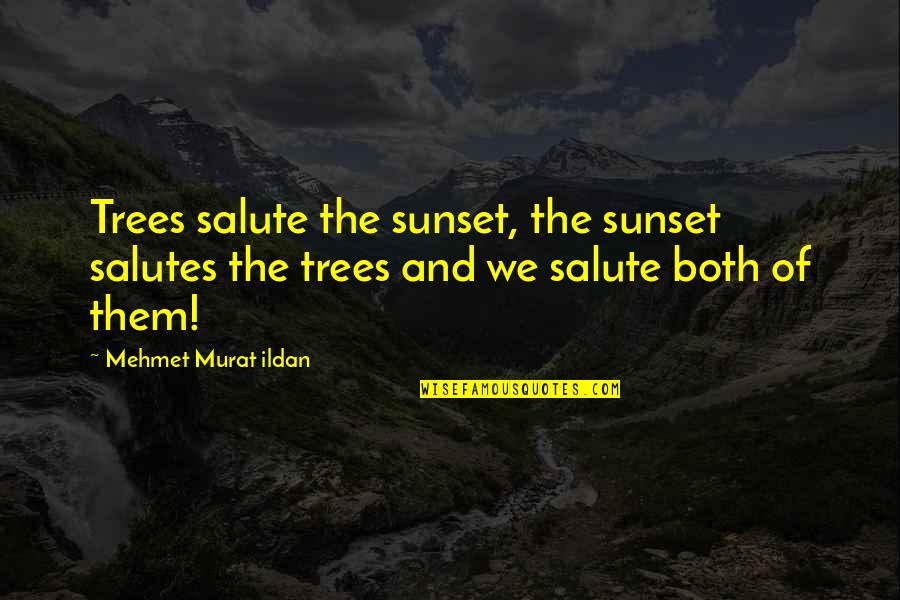 Cuervos Volando Quotes By Mehmet Murat Ildan: Trees salute the sunset, the sunset salutes the