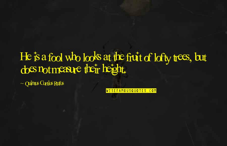 Cuffs Strawberry Quotes By Quintus Curtius Rufus: He is a fool who looks at the Cuffs Strawberry Quotes By Quintus Curtius Rufus: He is a fool who looks at the
