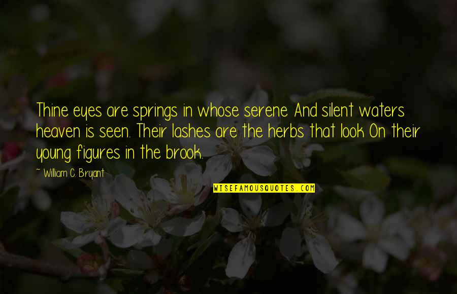 Cugle Quotes By William C. Bryant: Thine eyes are springs in whose serene And Cugle Quotes By William C. Bryant: Thine eyes are springs in whose serene And