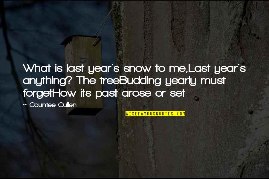 Cullen Quotes By Countee Cullen: What is last year's snow to me,Last year's