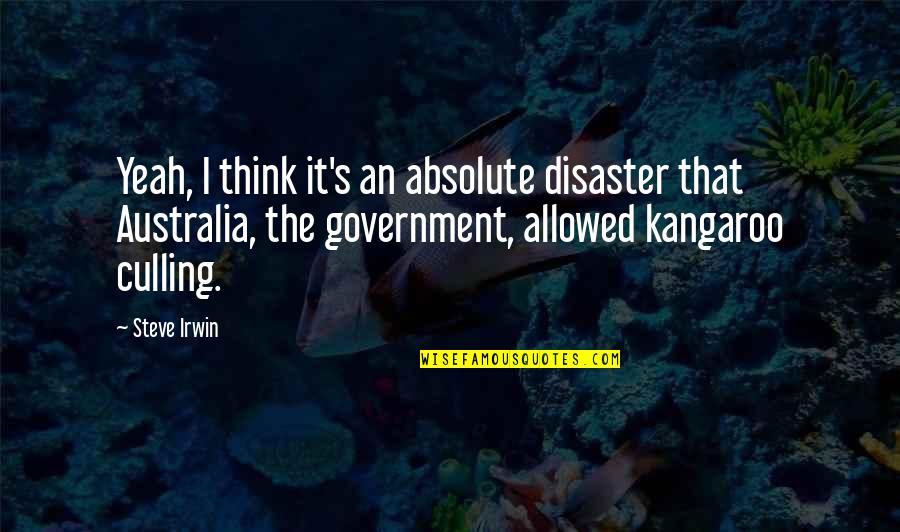 Culling Quotes By Steve Irwin: Yeah, I think it's an absolute disaster that