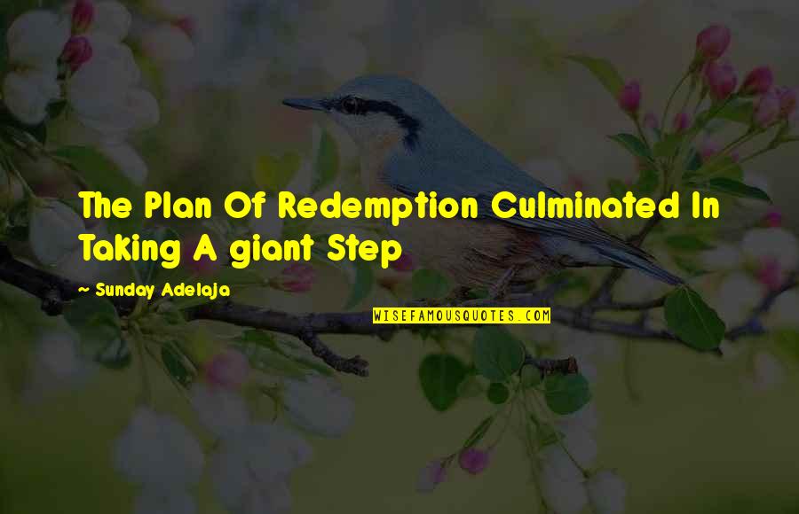 Culminated Into Quotes By Sunday Adelaja: The Plan Of Redemption Culminated In Taking A