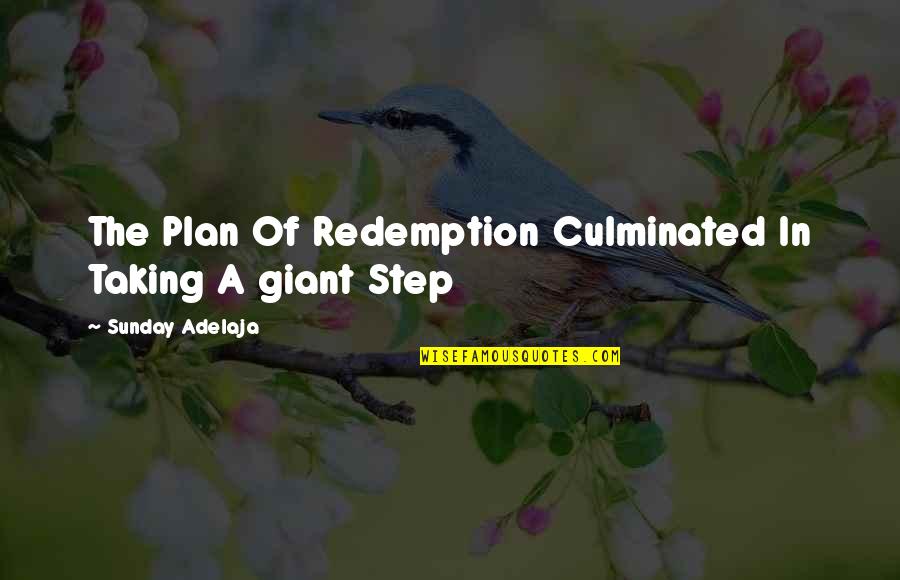 Culminated Quotes By Sunday Adelaja: The Plan Of Redemption Culminated In Taking A