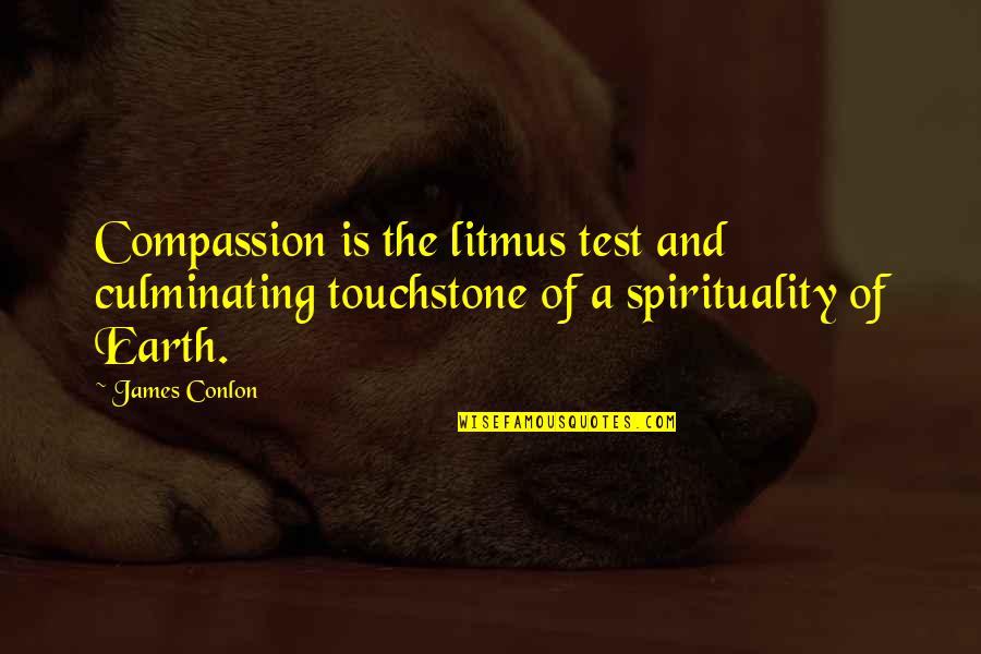 Culminating Quotes By James Conlon: Compassion is the litmus test and culminating touchstone