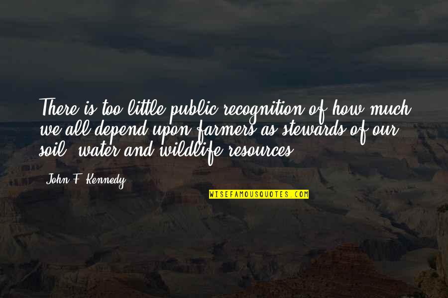 Culpar De Quotes By John F. Kennedy: There is too little public recognition of how