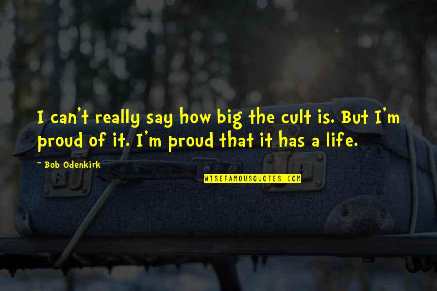 Cult Quotes By Bob Odenkirk: I can't really say how big the cult