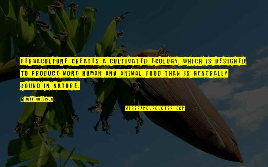 Cultivated Quotes By Bill Mollison: Permaculture creates a cultivated ecology, which is designed