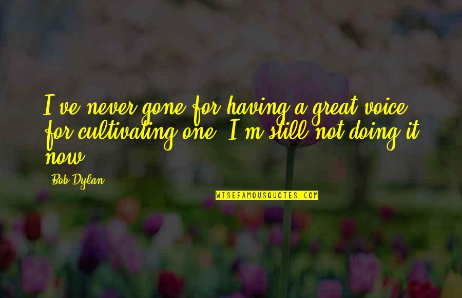 Cultivating Quotes By Bob Dylan: I've never gone for having a great voice,