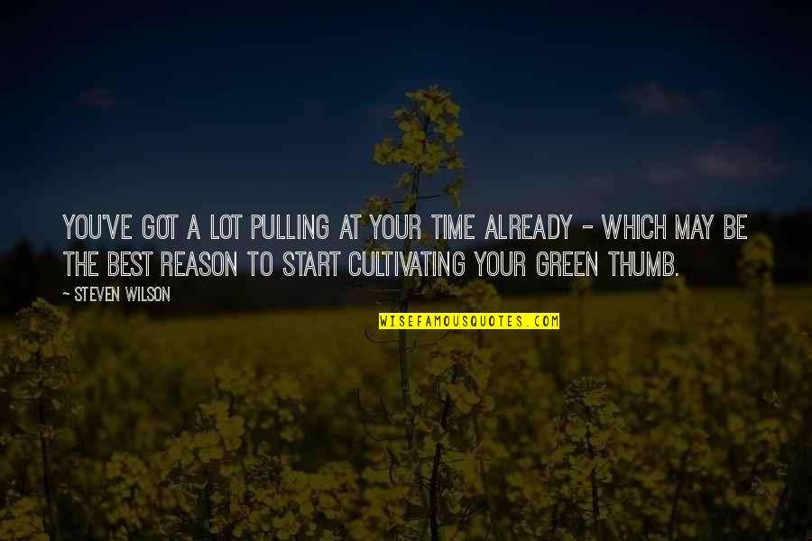 Cultivating Quotes By Steven Wilson: You've got a lot pulling at your time