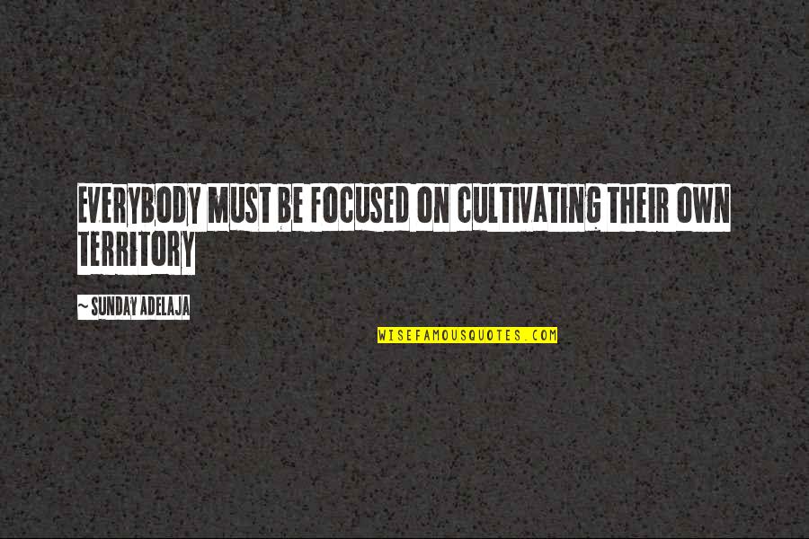 Cultivating Quotes By Sunday Adelaja: Everybody must be focused on cultivating their own