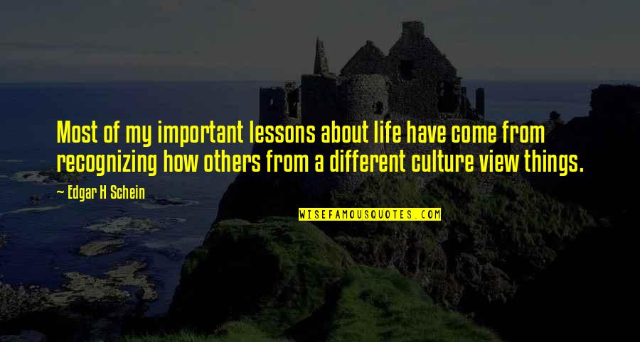 Cultural Differences Quotes By Edgar H Schein: Most of my important lessons about life have