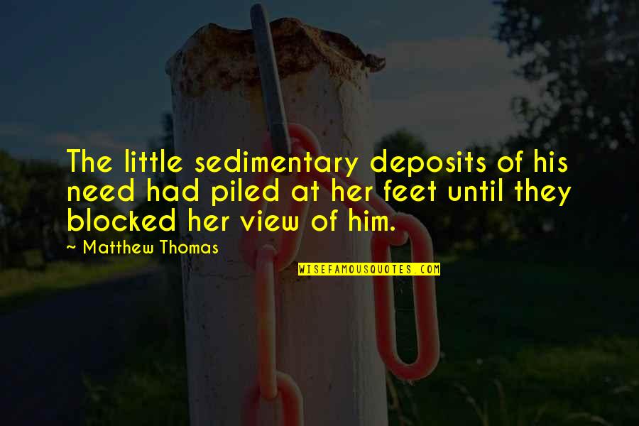 Cultural Event Quotes By Matthew Thomas: The little sedimentary deposits of his need had