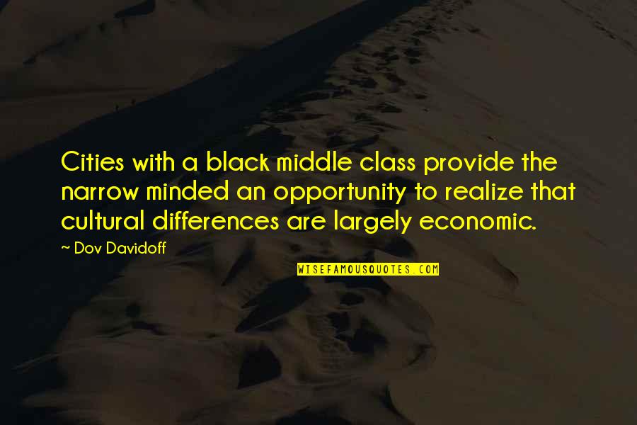 Cultural Quotes By Dov Davidoff: Cities with a black middle class provide the