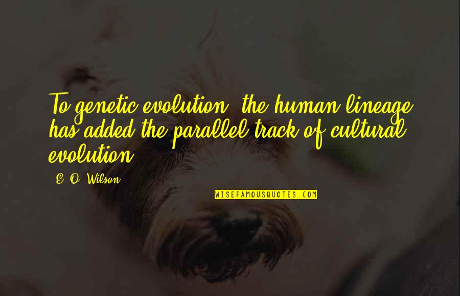 Cultural Quotes By E. O. Wilson: To genetic evolution, the human lineage has added