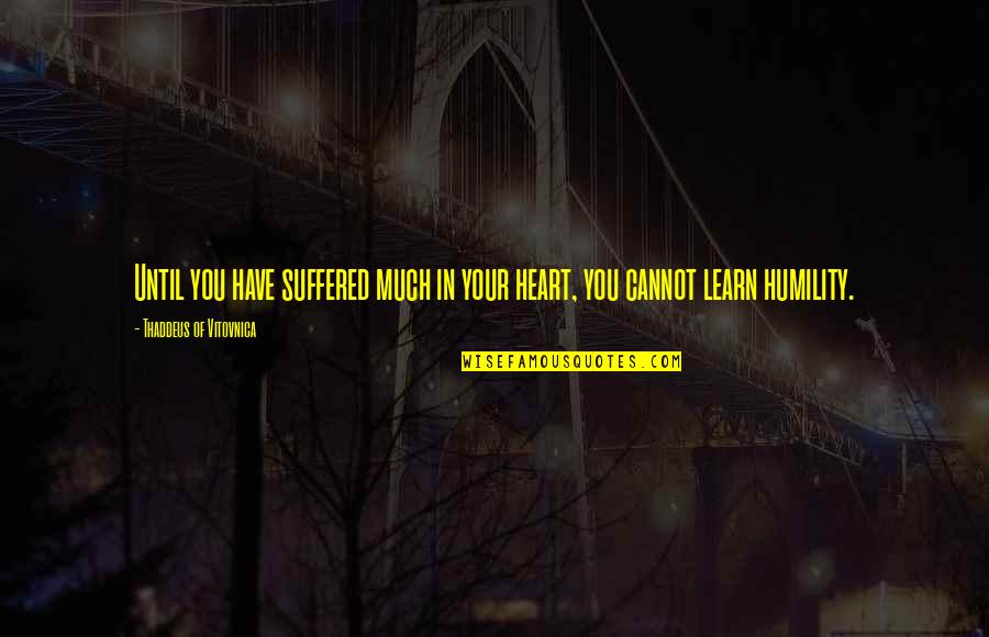 Cultural Relativists Quotes By Thaddeus Of Vitovnica: Until you have suffered much in your heart,