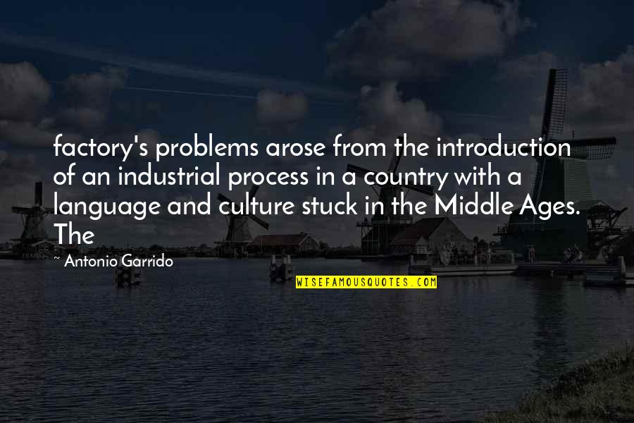 Culture And Language Quotes By Antonio Garrido: factory's problems arose from the introduction of an