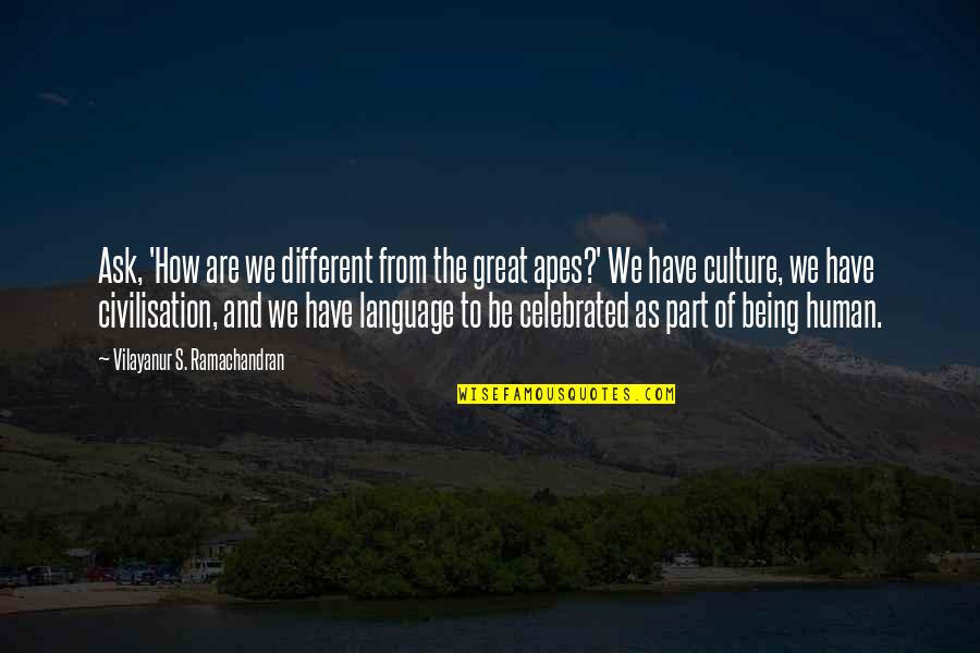 Culture And Language Quotes By Vilayanur S. Ramachandran: Ask, 'How are we different from the great