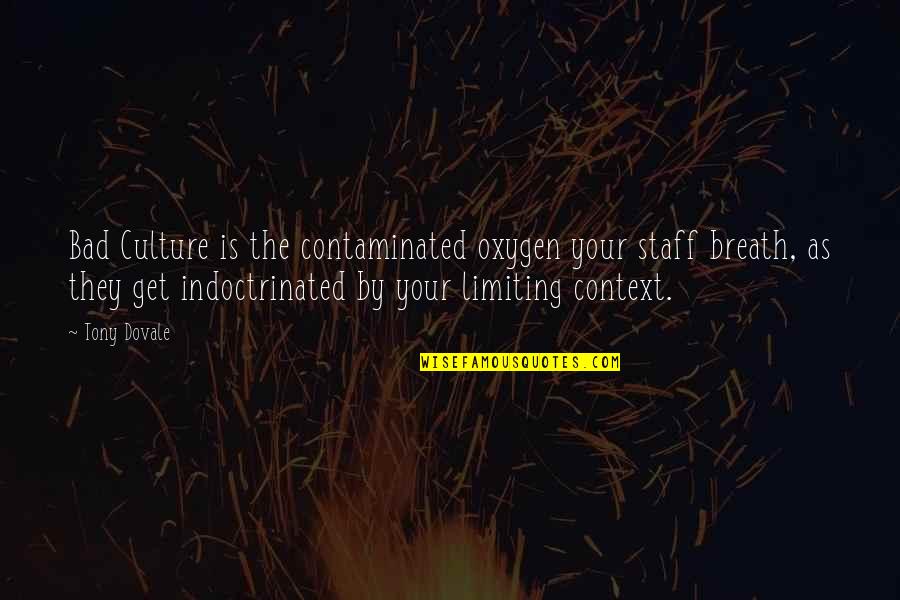 Culture And Leadership Quotes By Tony Dovale: Bad Culture is the contaminated oxygen your staff