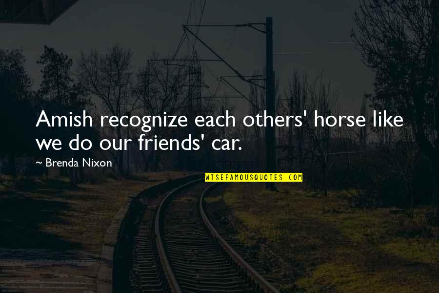 Culture In Education Quotes By Brenda Nixon: Amish recognize each others' horse like we do