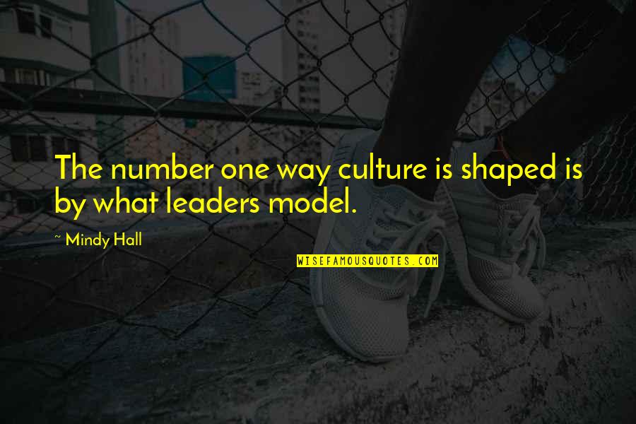 Culture Is Quotes By Mindy Hall: The number one way culture is shaped is