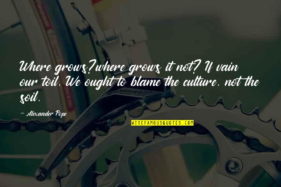 Culture Of Blame Quotes By Alexander Pope: Where grows?where grows it not? If vain our