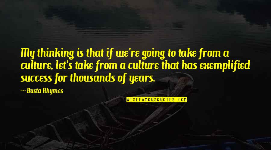 Culture Of Success Quotes By Busta Rhymes: My thinking is that if we're going to