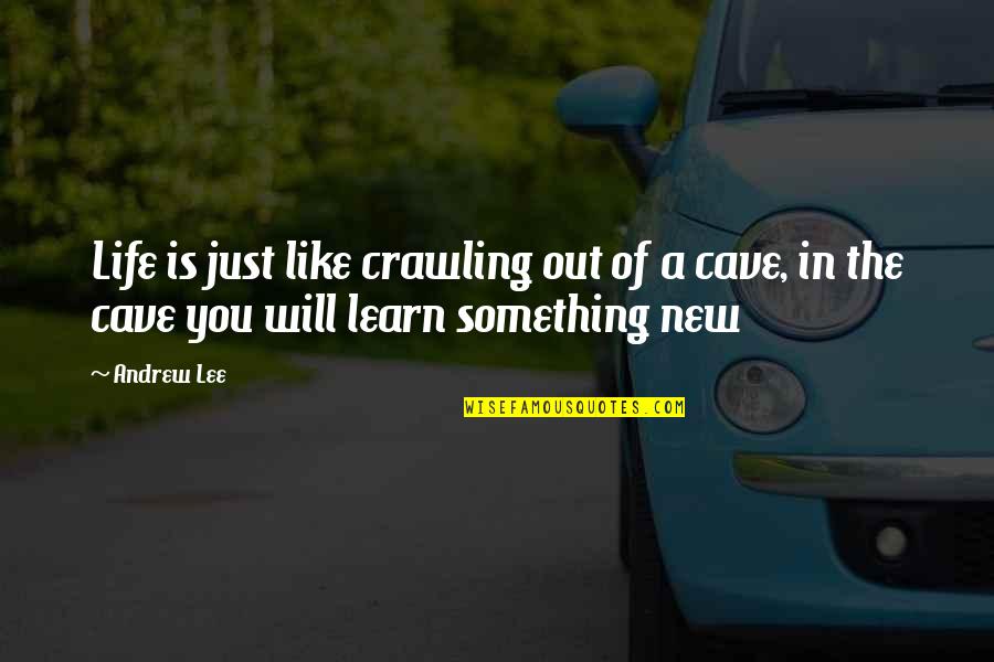 Culture Shift Quotes By Andrew Lee: Life is just like crawling out of a
