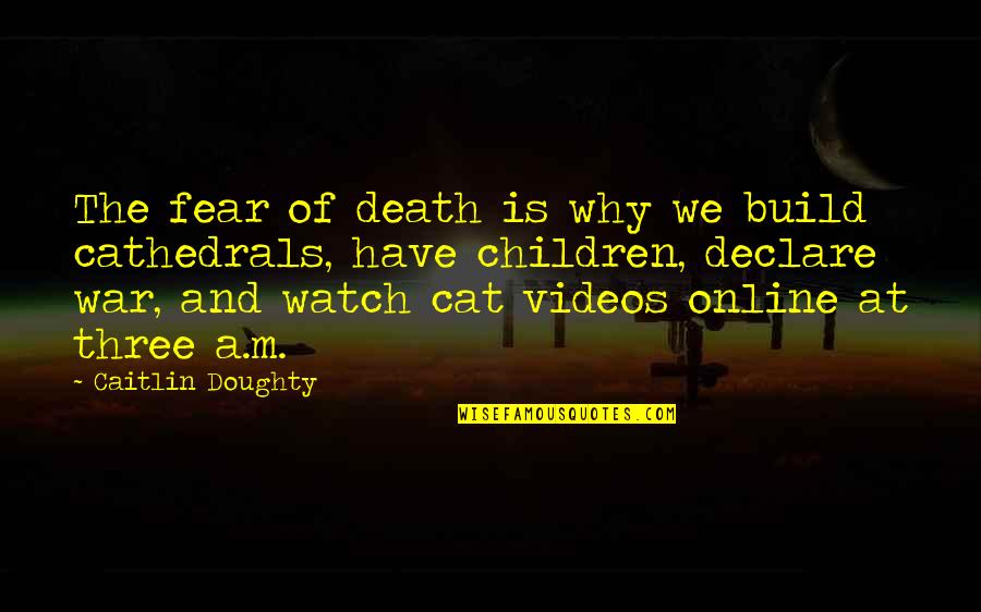 Culture War Quotes By Caitlin Doughty: The fear of death is why we build
