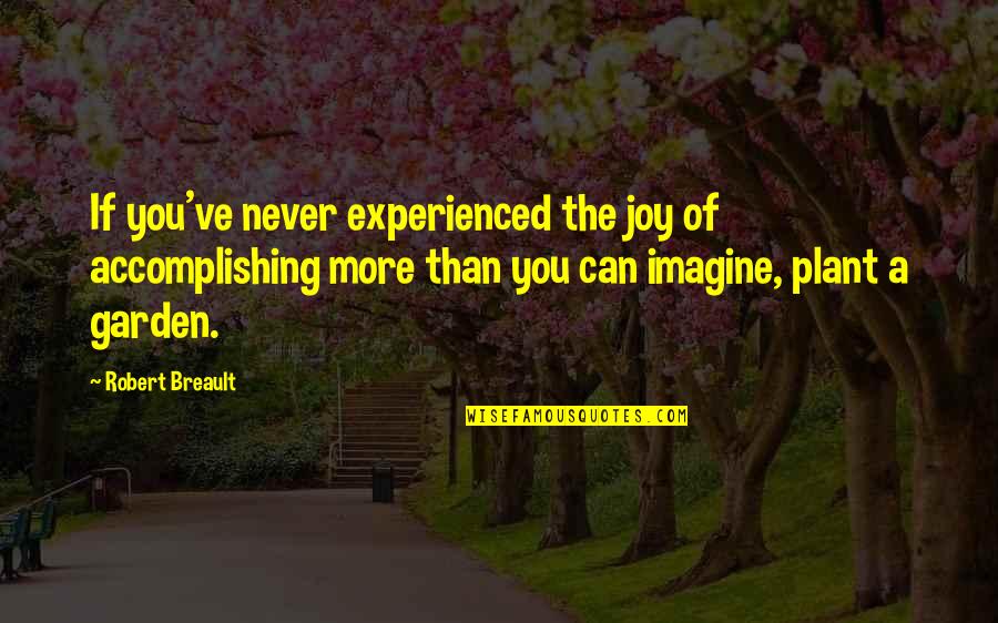 Cultuur Quotes By Robert Breault: If you've never experienced the joy of accomplishing