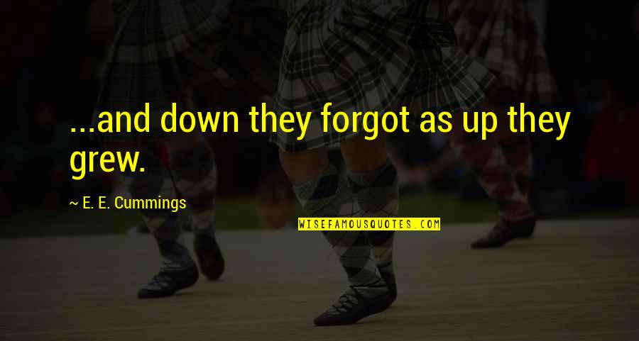 Cummings Quotes By E. E. Cummings: ...and down they forgot as up they grew. Cummings Quotes By E. E. Cummings: ...and down they forgot as up they grew.
