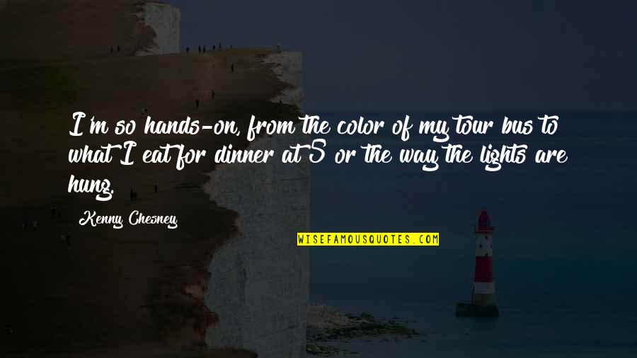 Cumparamisim Quotes By Kenny Chesney: I'm so hands-on, from the color of my