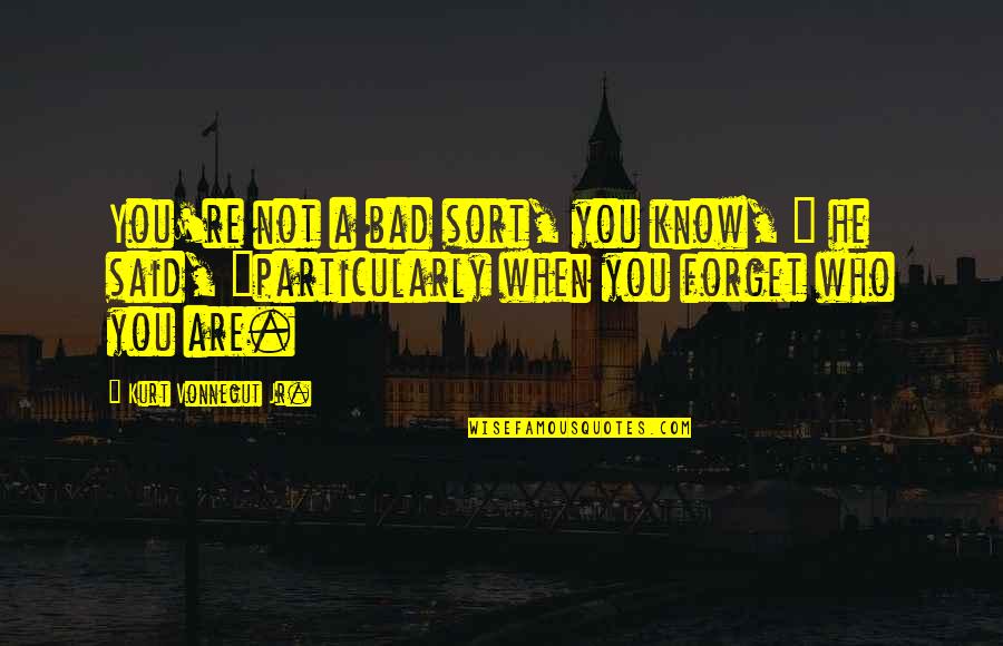 Cumplir Los Derechos Quotes By Kurt Vonnegut Jr.: You're not a bad sort, you know, "