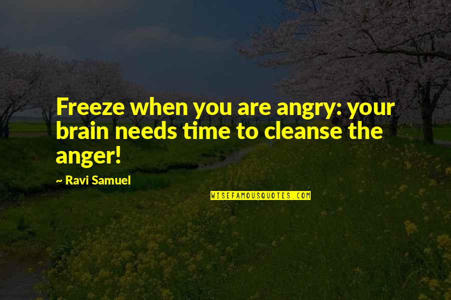 Cumplo 37 Quotes By Ravi Samuel: Freeze when you are angry: your brain needs