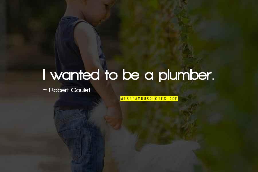 Cumprir Ato Quotes By Robert Goulet: I wanted to be a plumber. Cumprir Ato Quotes By Robert Goulet: I wanted to be a plumber.
