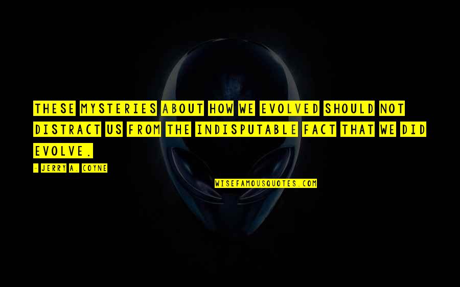Cunnane Builders Quotes By Jerry A. Coyne: These mysteries about how we evolved should not Cunnane Builders Quotes By Jerry A. Coyne: These mysteries about how we evolved should not
