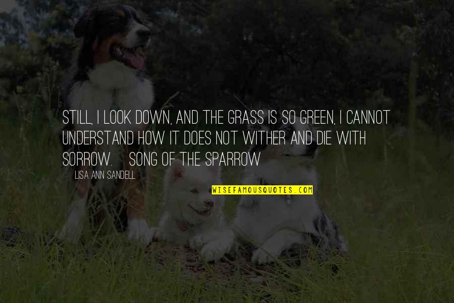 Cuntpower Quotes By Lisa Ann Sandell: Still, I look down, and the grass is